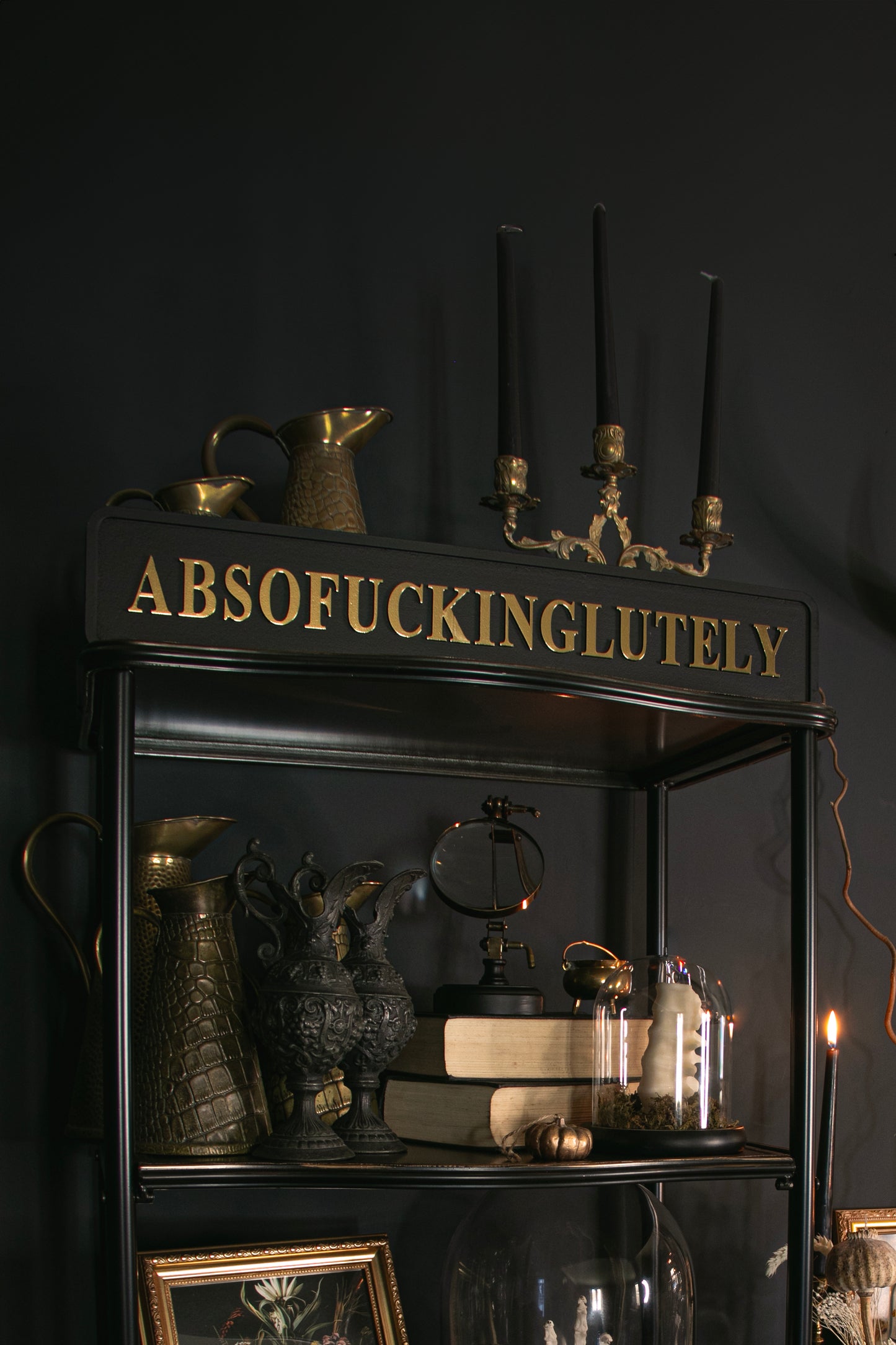 Absofuckinglutely Sign