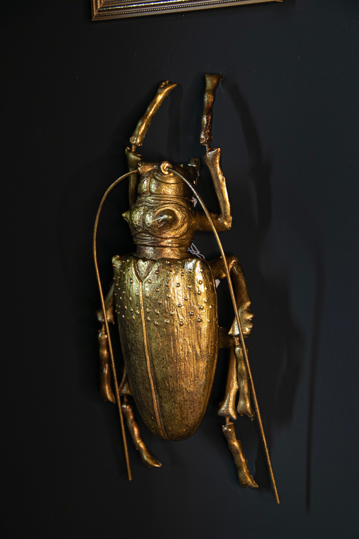 Gold Beetle Wall Hanging - no.3