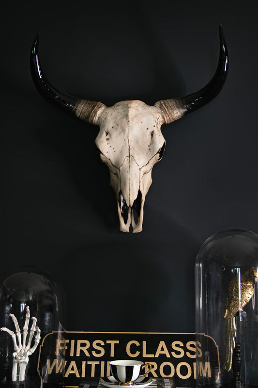 Bison Head Wall Hanging - Various Sizes - Stock due June 2024