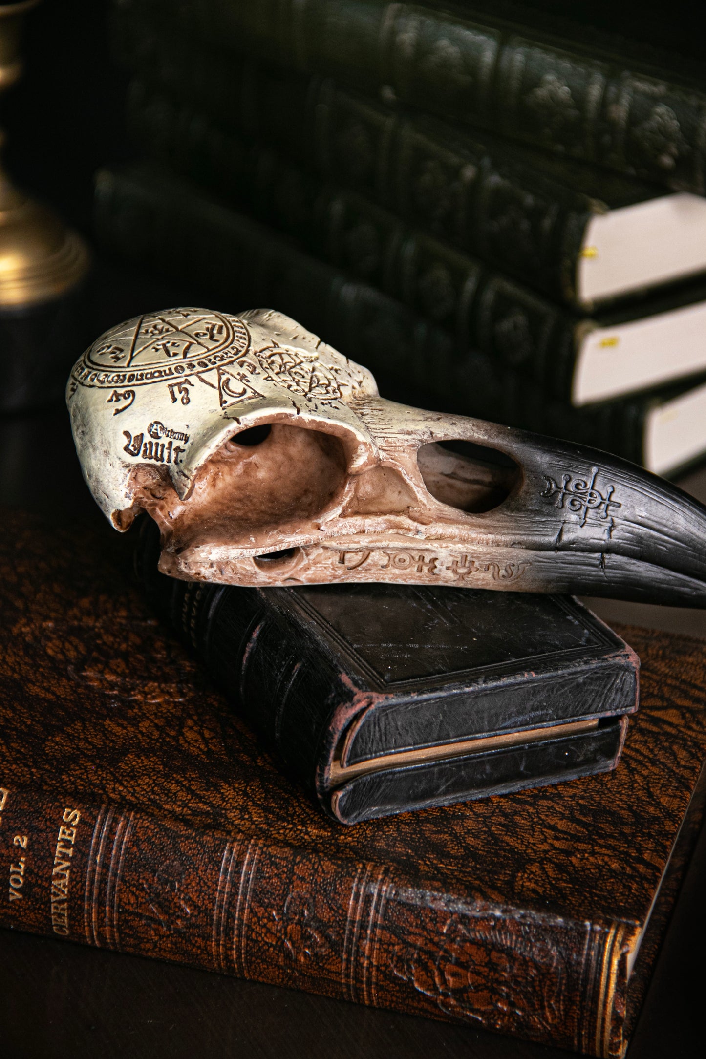 Inscribed Raven Skull