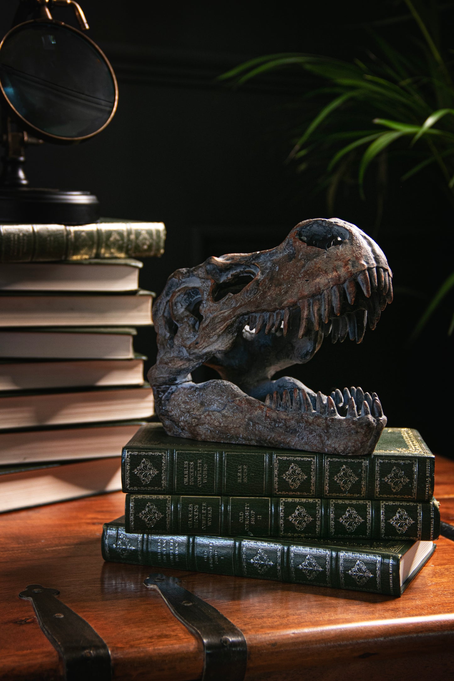 Ornamental Dinosaur Skull