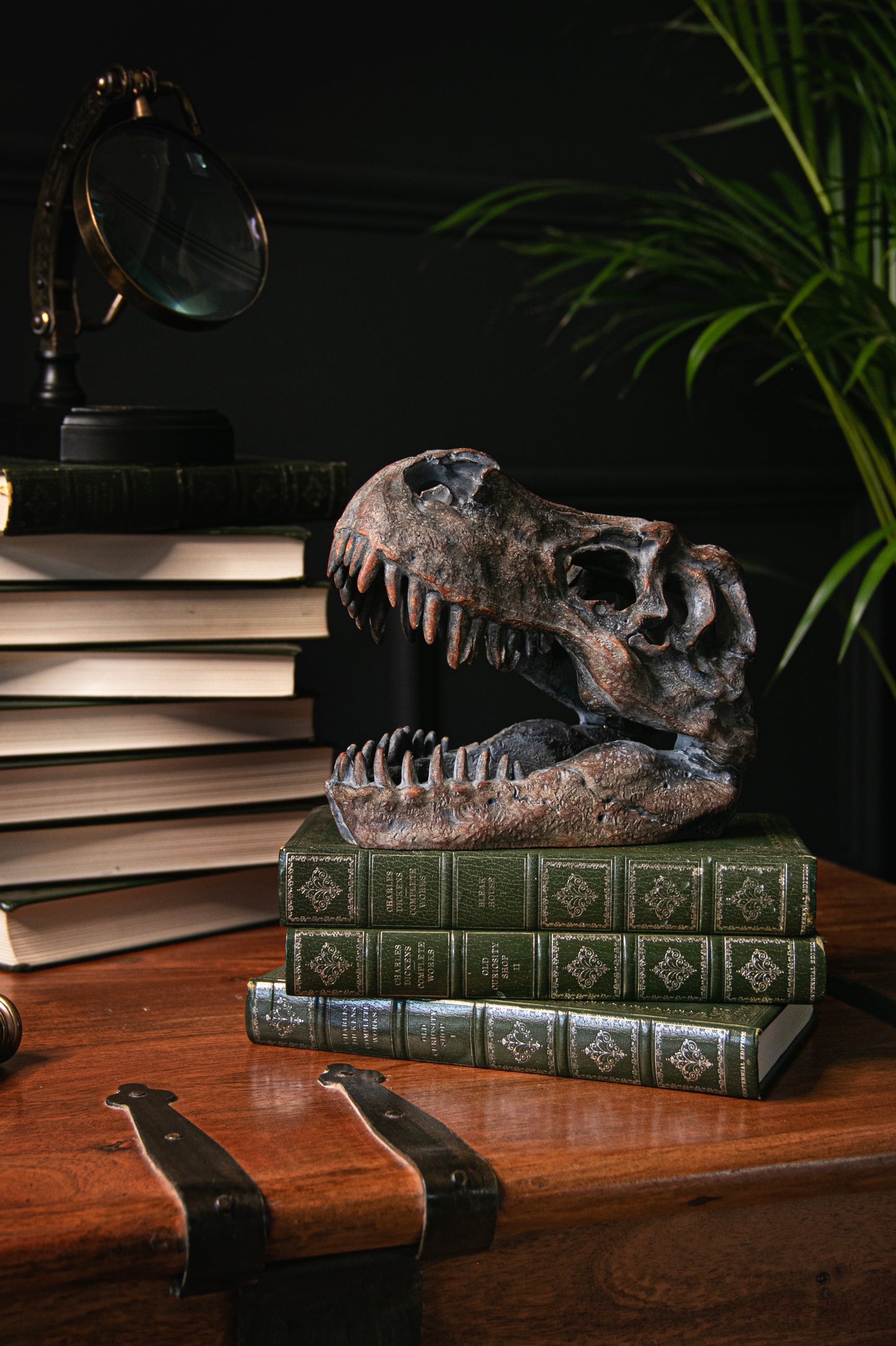 Ornamental Dinosaur Skull