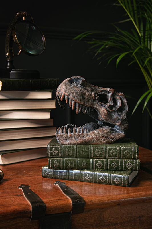 Ornamental Dinosaur Skull - Stock due June 2024