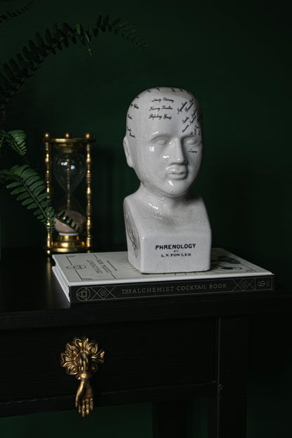 Phrenology Head Ornament