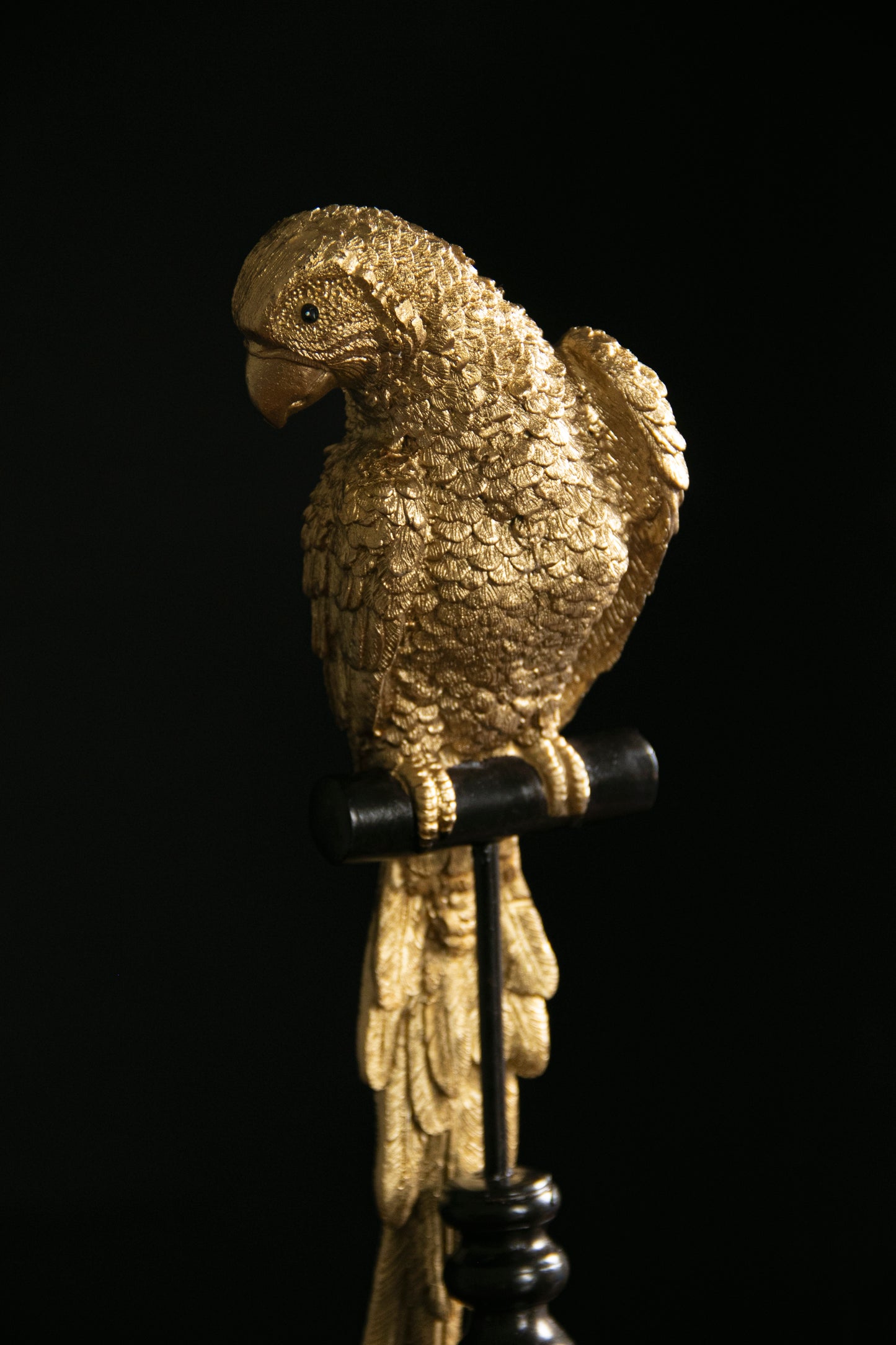 GOLD PARROT ON PERCH