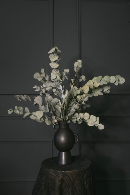 Preserved Eucalyptus Cinerea - Green
