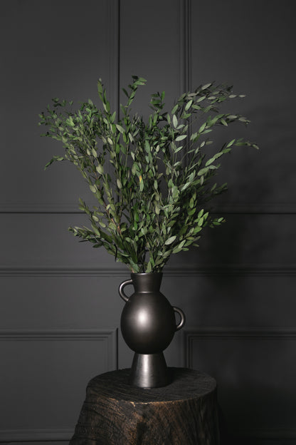 Preserved Eucalyptus Parvifolia - Green