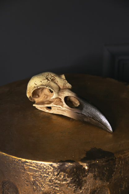 Corvus Alchemica - Raven Skull
