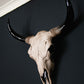 Bison Head Wall Hanging - Various Sizes