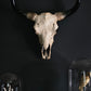 Bison Head Wall Hanging - Various Sizes