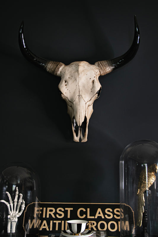 Bison Head Wall Hanging - Various Sizes