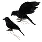 Black Crow Clip On Decorations