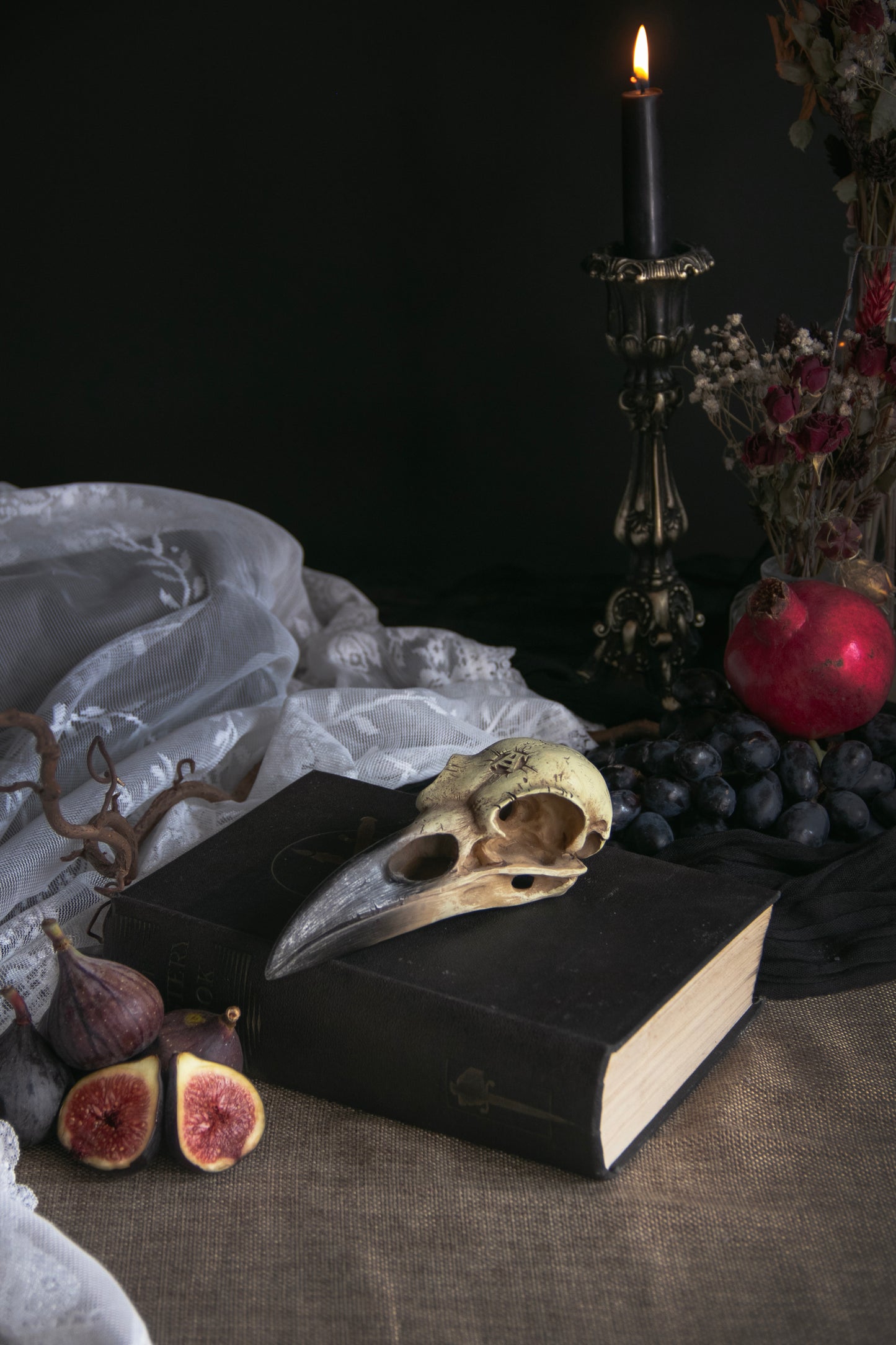 Corvus Alchemica Raven Skull