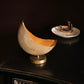 Mini Celestial Moon Planter