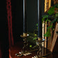 Scorpion Candlestick Pair | Pre-Loved