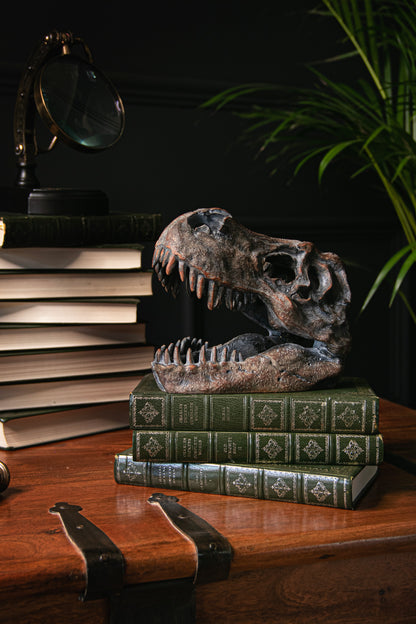 Ornamental Dinosaur Skull