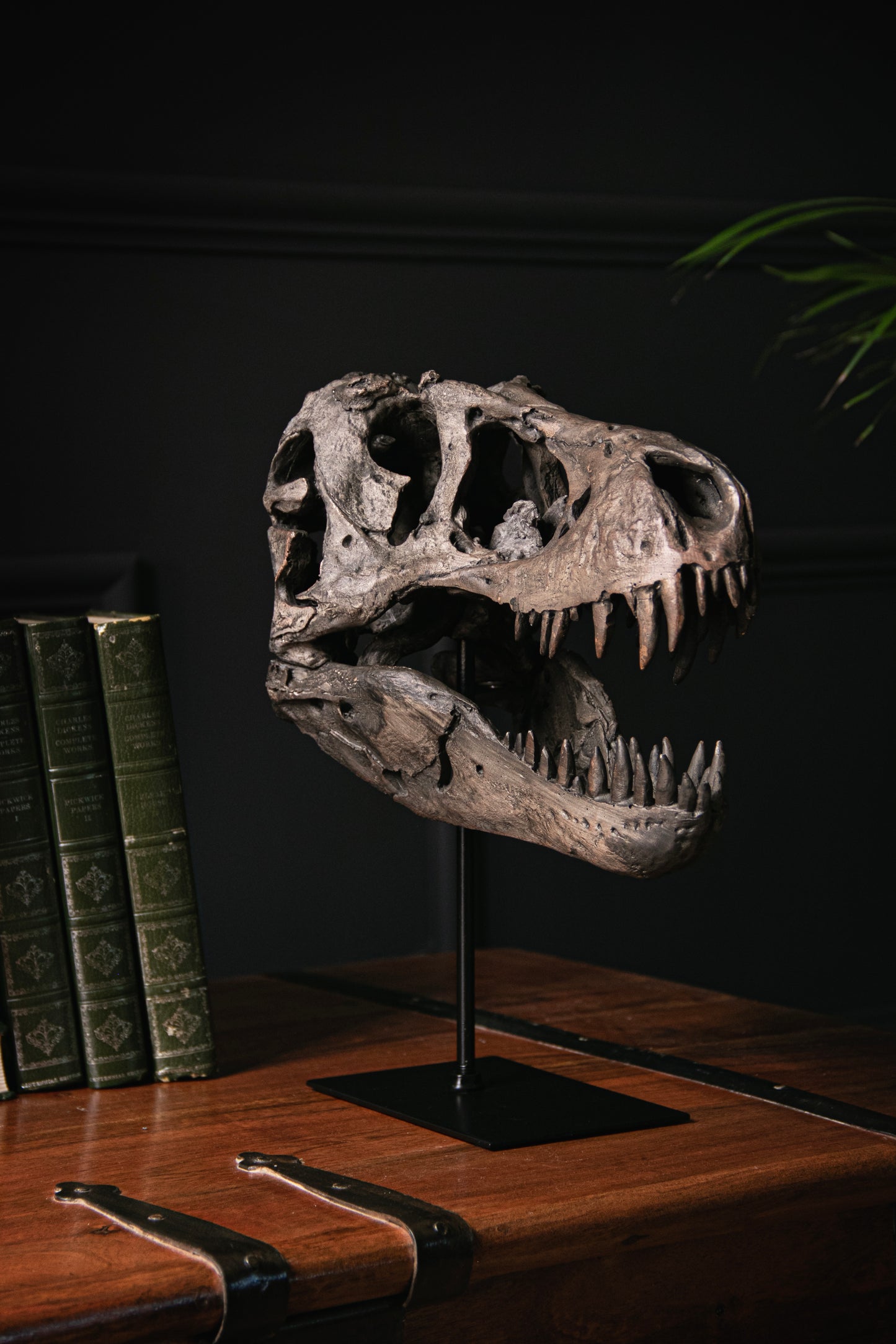 T-Rex Dinosaur Skull On Stand