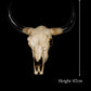 Bison Head Wall Hanging - Various Sizes