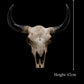 Bison Head Wall Hanging - Various Sizes