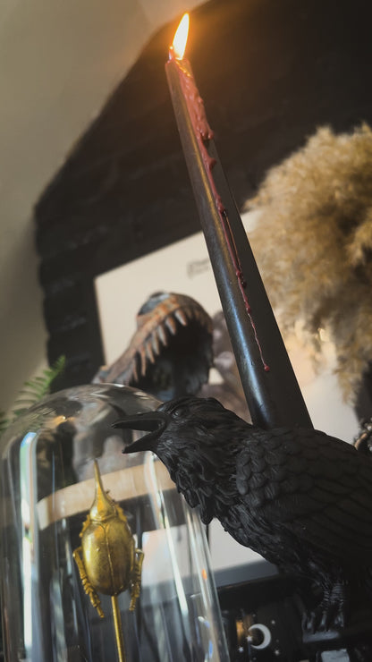 Raven Candle Stick