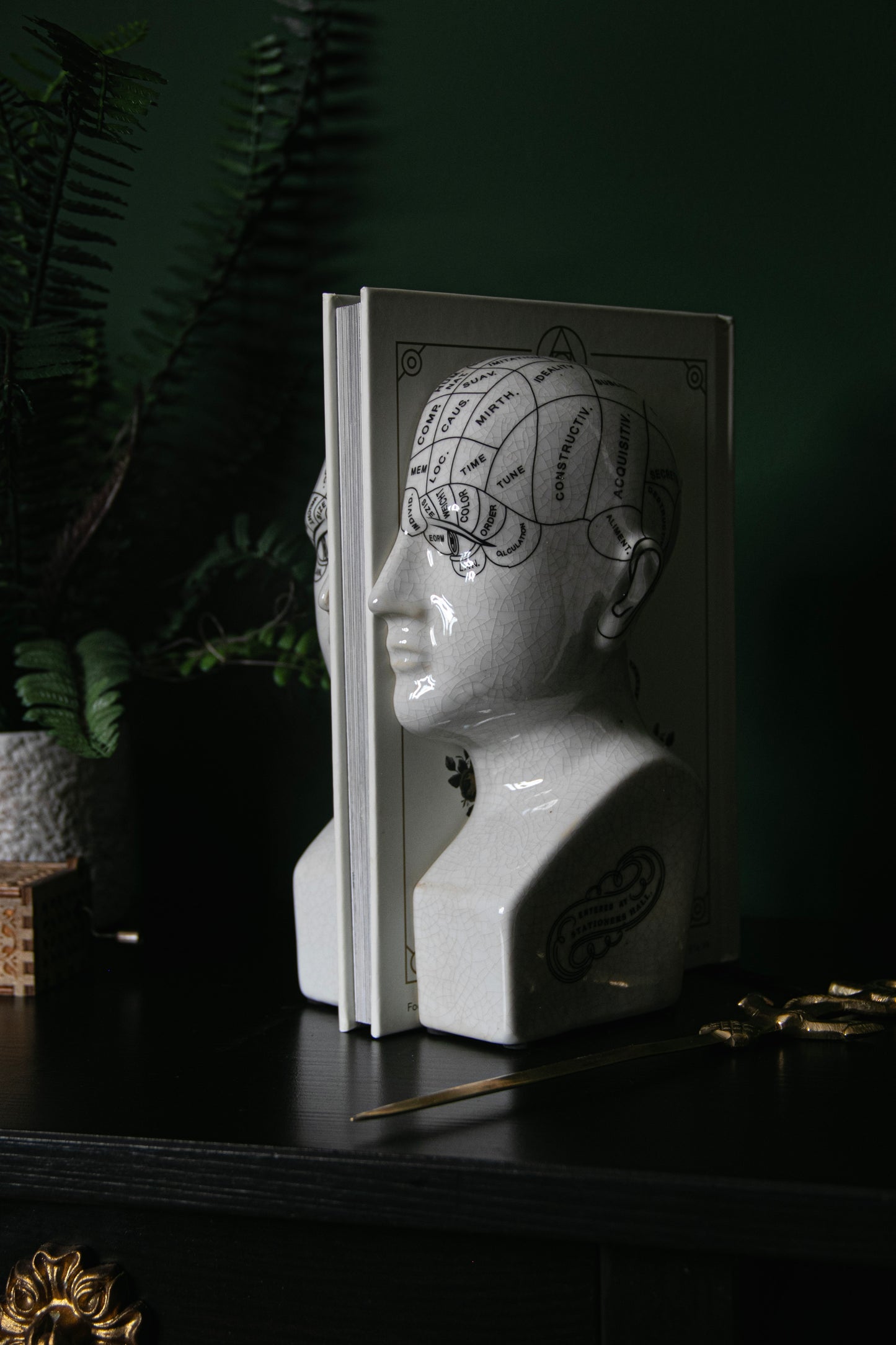 Phrenology Head Bookends