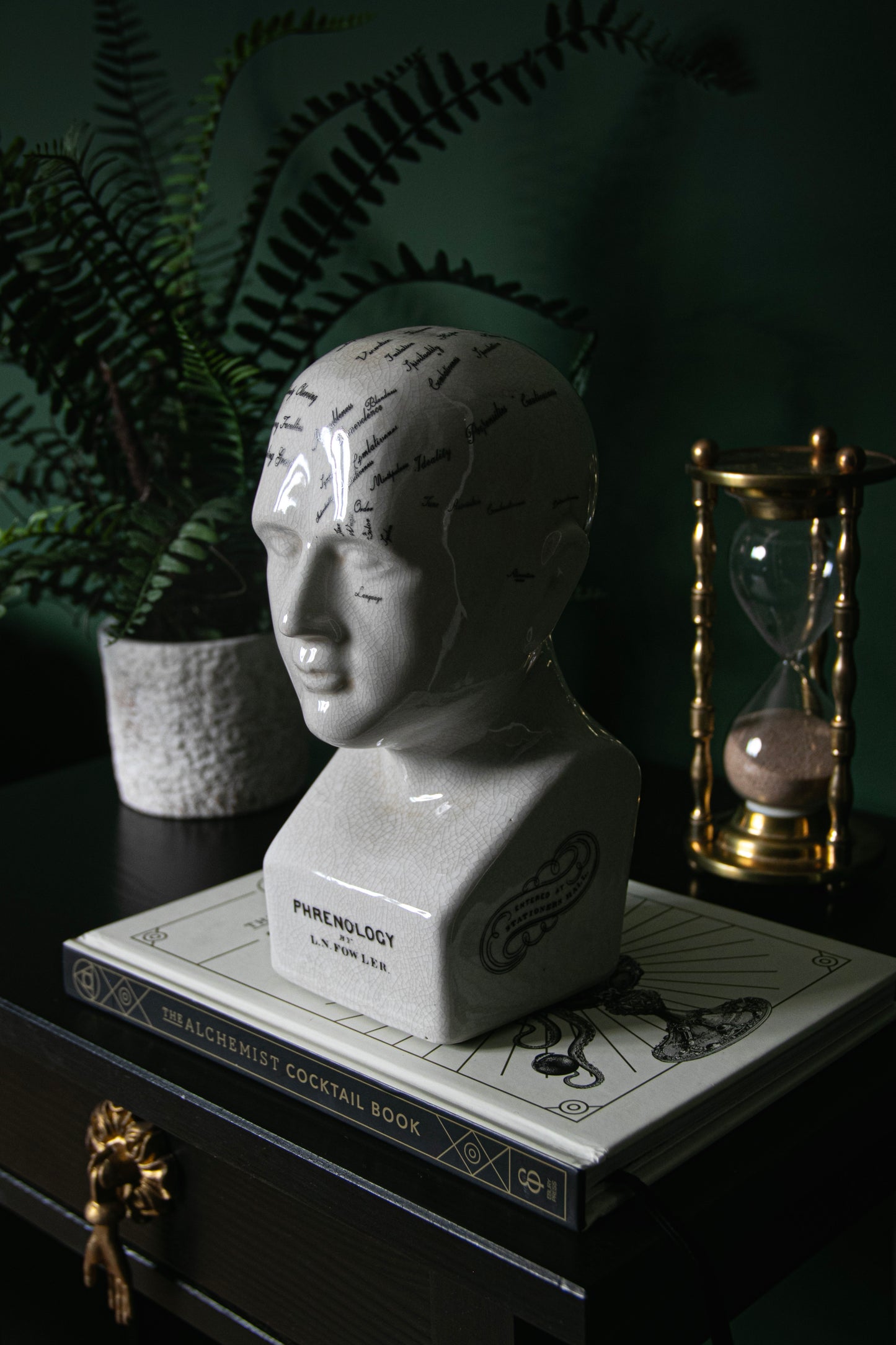 Phrenology Head Ornament