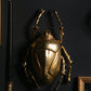 Gold Beetle Wall Hanging - no.1