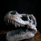 Large Ornamental Dinosaur Skull / Wall Hanging