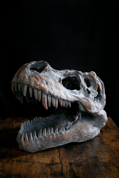 Large Ornamental Dinosaur Skull / Wall Hanging - Stock due June 2024