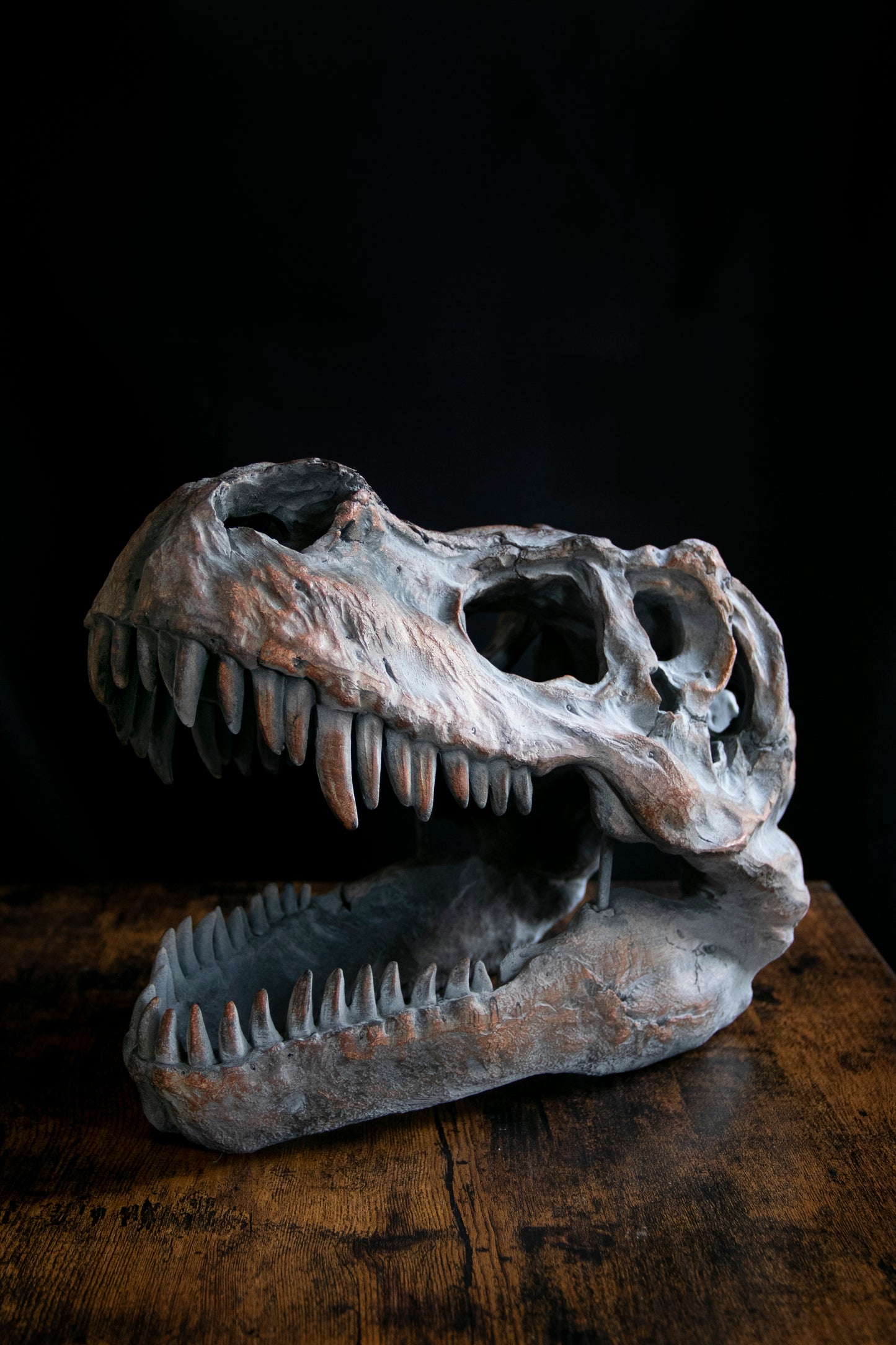 Large Ornamental Dinosaur Skull / Wall Hanging