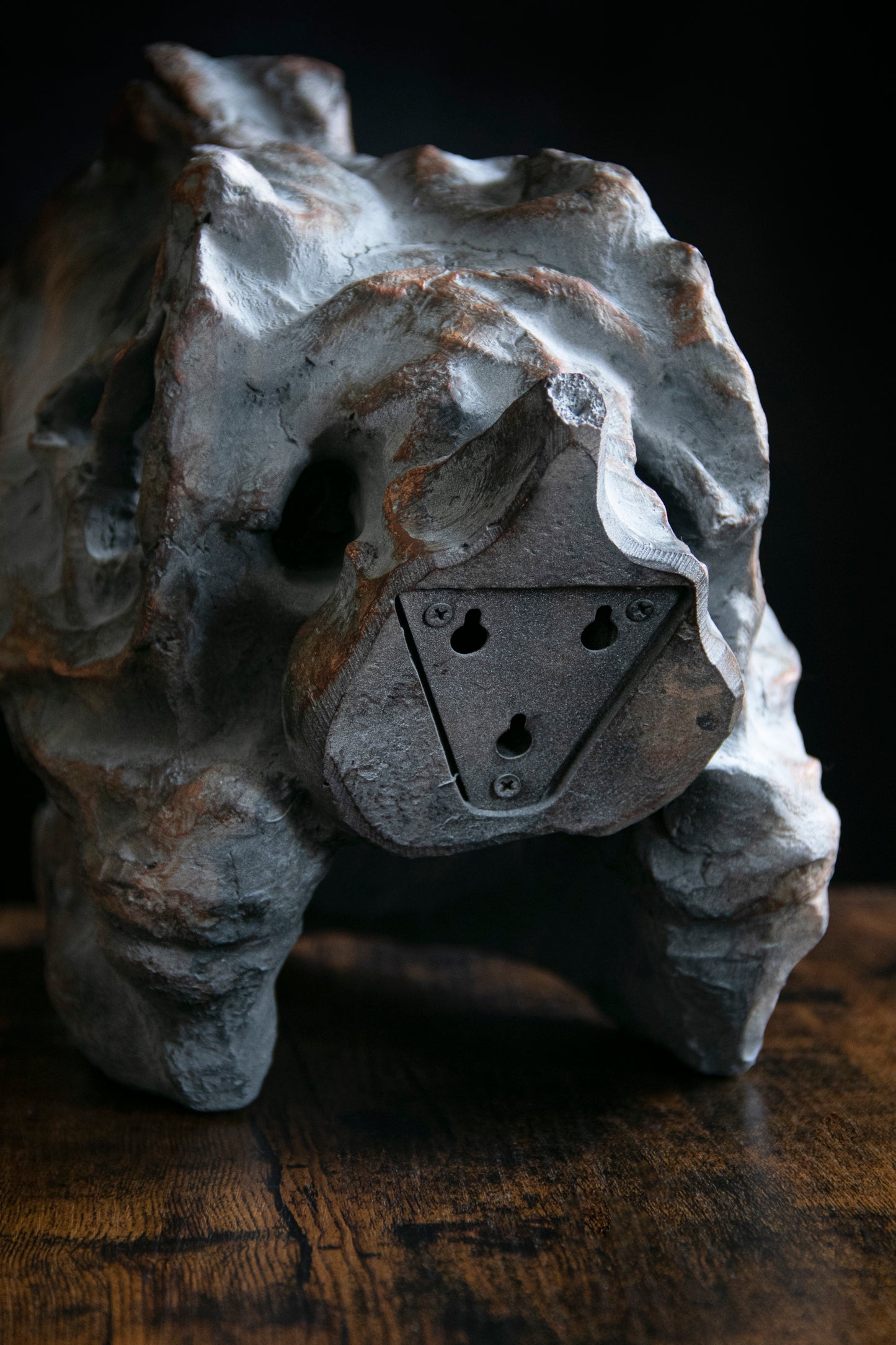 Large Ornamental Dinosaur Skull / Wall Hanging