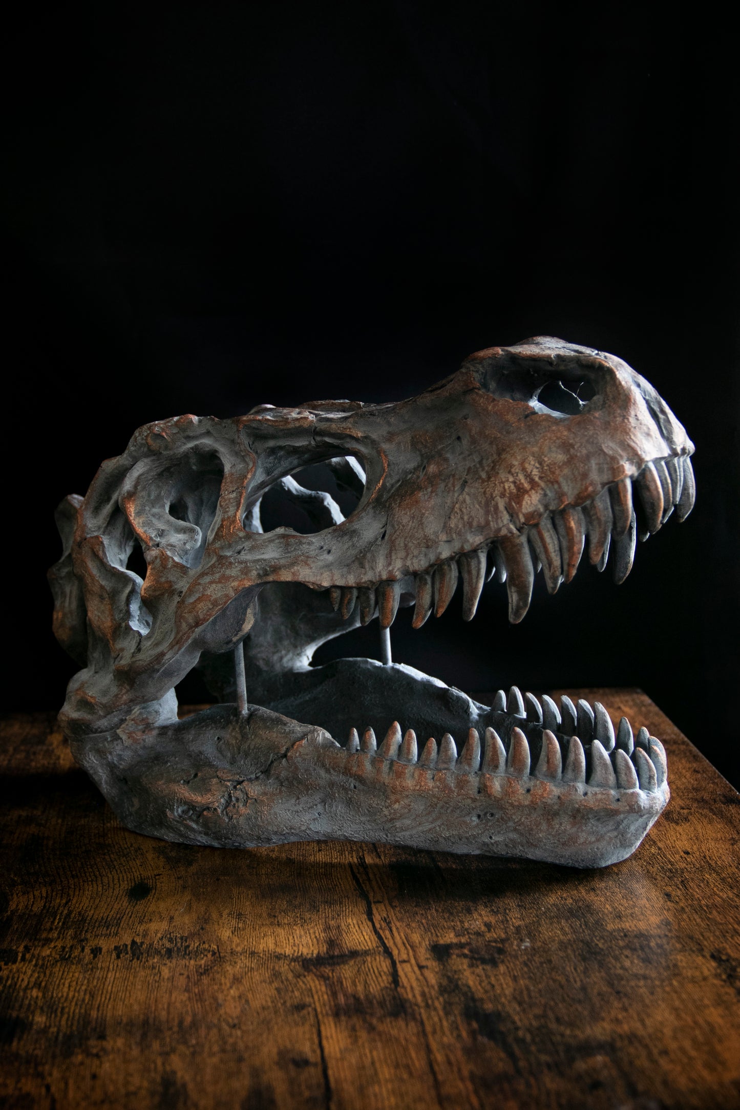 Large Ornamental Dinosaur Skull / Wall Hanging
