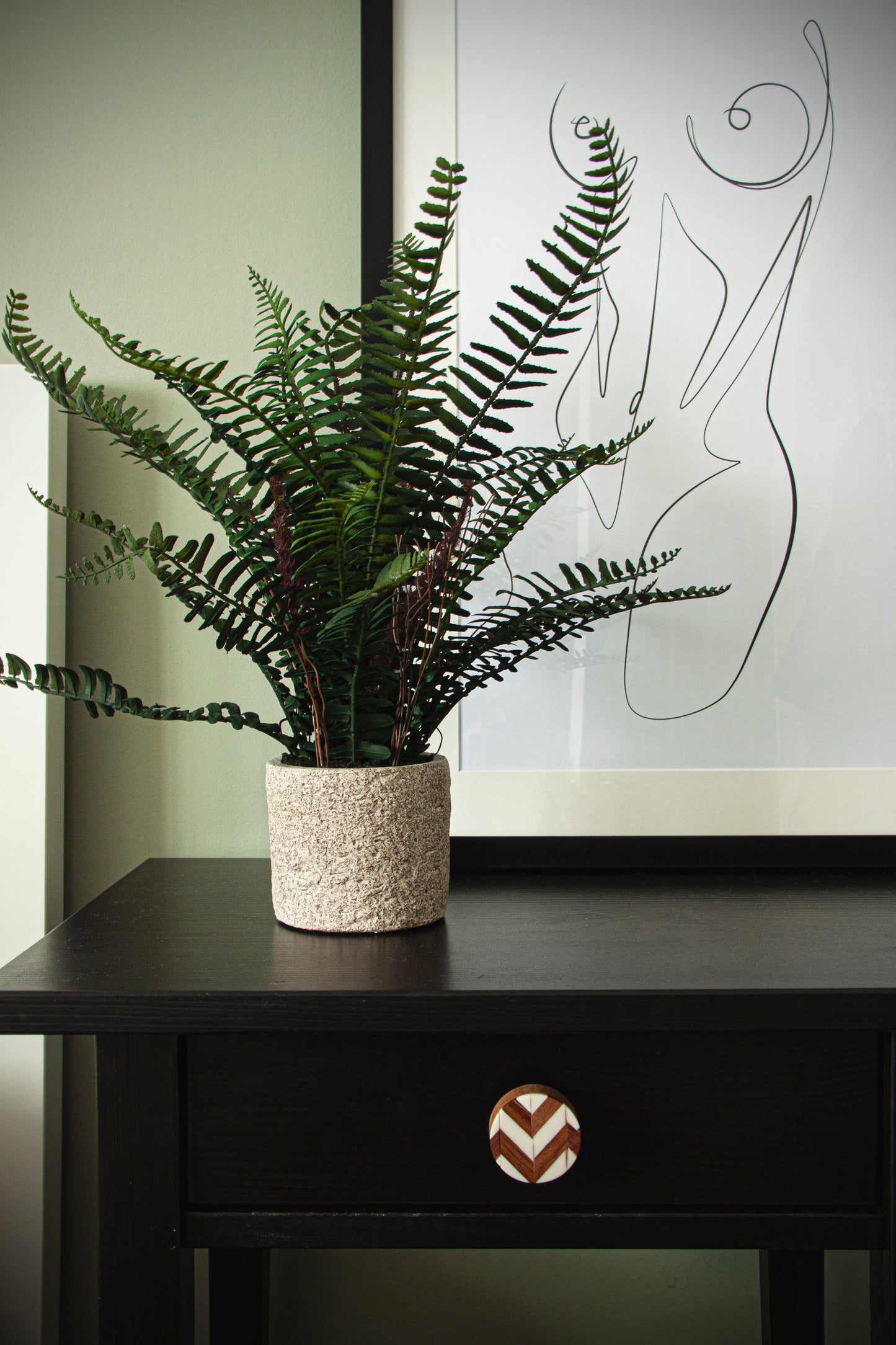 Ornamental Potted Fern Plant