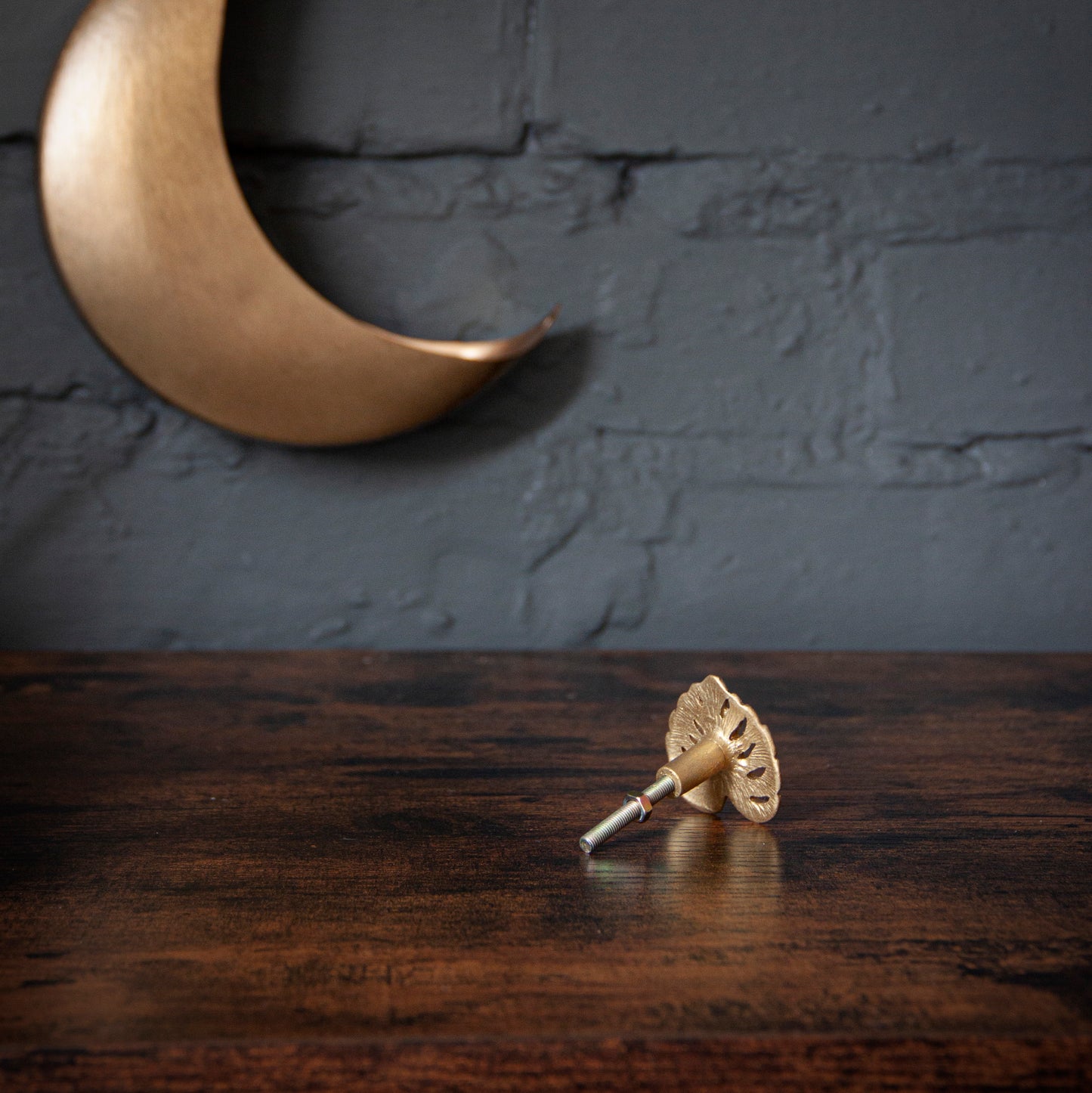 Monstera Leaf Drawer Knob