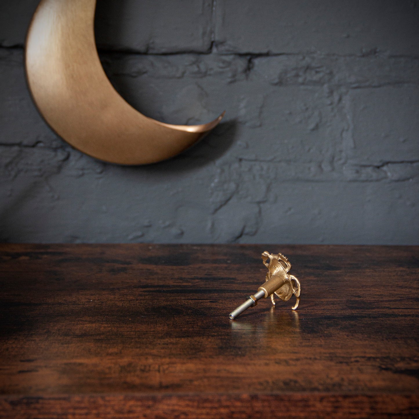 Scarab Beetle Drawer Knob