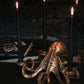 Octopus Candlestick Holder - Bronze