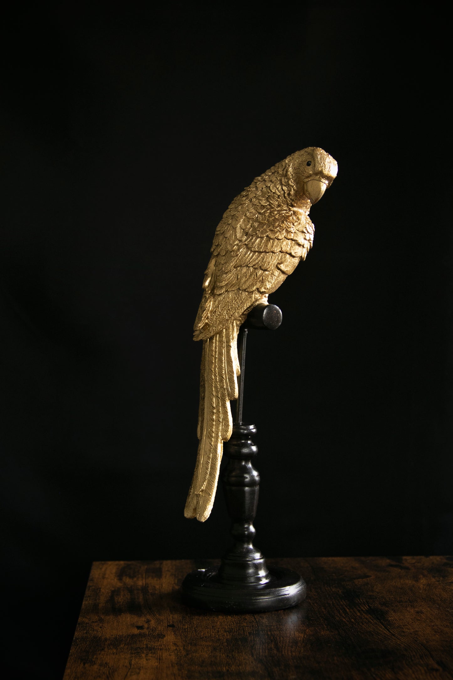 GOLD PARROT ON PERCH