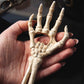 Skeleton Hand Bottle Opener - Bone