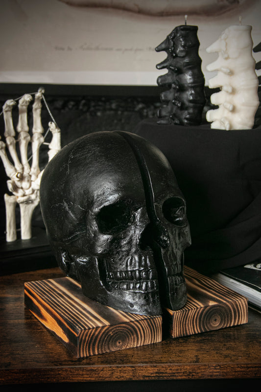 Skull Bookends by The Blackened Teeth